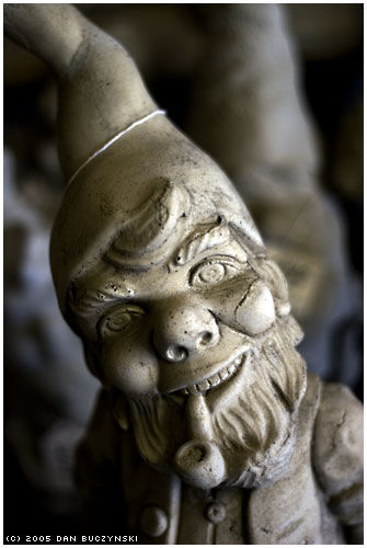 The Common Image of a Gnome